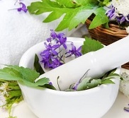 هیچ حمایت قانونی و دولتی از طب سنتی نمی شود