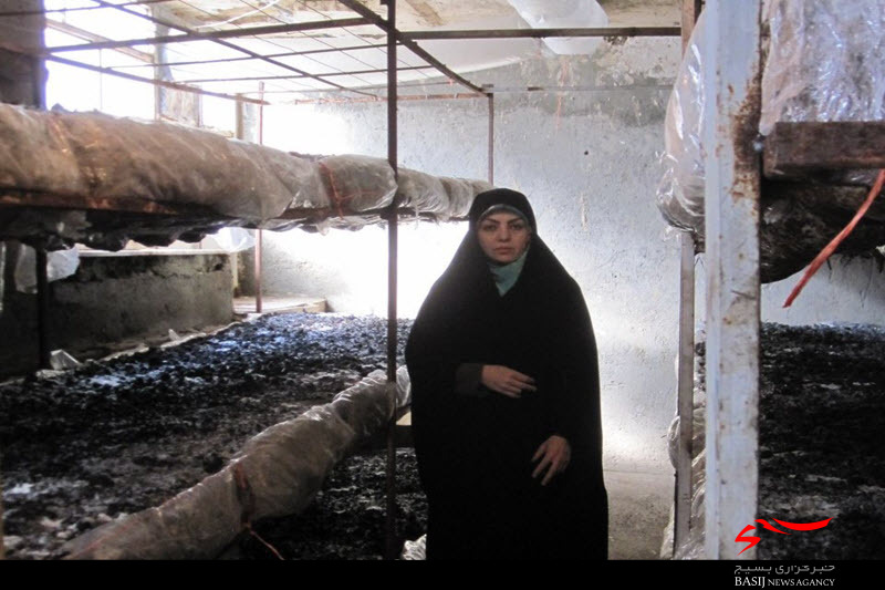 راه‌اندازی 2 کارگاه پرورش قارچ به‌همتبانوی کارآفرین بهاری