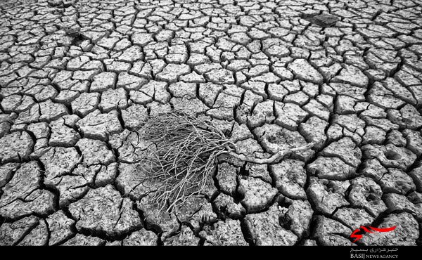 منابع آبی استان بوشهر آب میرود/ عزم خشکسالی برای نابودی دشتها منابع آبی استان بوشهر آب میرود/ عزم خشکسالی برای نابودی دشتها