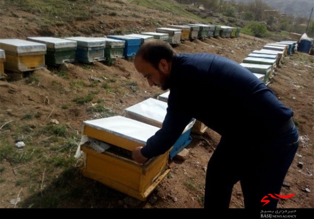 درآمد 40 میلیون تومانی کارآفرینی تویسرکانی