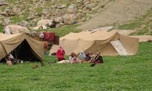 عشایر نمونه بارز اقتصاد مقاومتی