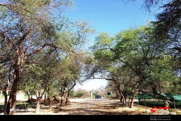 خودنمایی بردخون در کنار خلیج فارس/ محصور میان کوه و دشت و دریا خودنمایی بردخون در کنار خلیج فارس/ محصور میان کوه و دشت و دریا