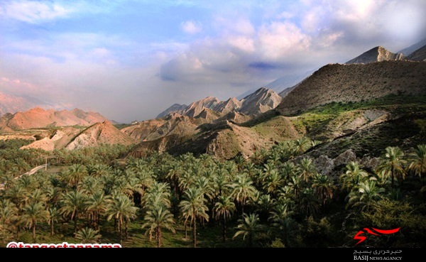 امیدوارم سال ۹۷ شاهد احداث نگارخانه در شهر اهرم باشیم