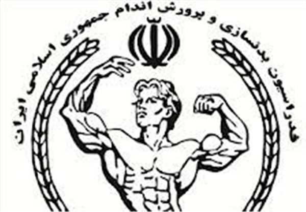 ورزشکاران پرس سینه دیلم سکوهای مسابقات قهرمانی کشور را فتح کردند.