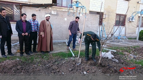 نهالکاری در سپاه چالوس + تصاویر نهالکاری در سپاه چالوس + تصاویر