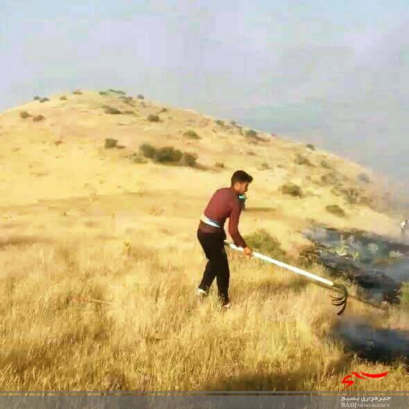 اطفاء حریق 300هکتار از مراتع شهرستان طارم به همت گروه های جهادی این شهرستان+ تصاویر اطفاء حریق 300هکتار از مراتع شهرستان طارم به همت گروه های جهادی این شهرستان+ تصاویر