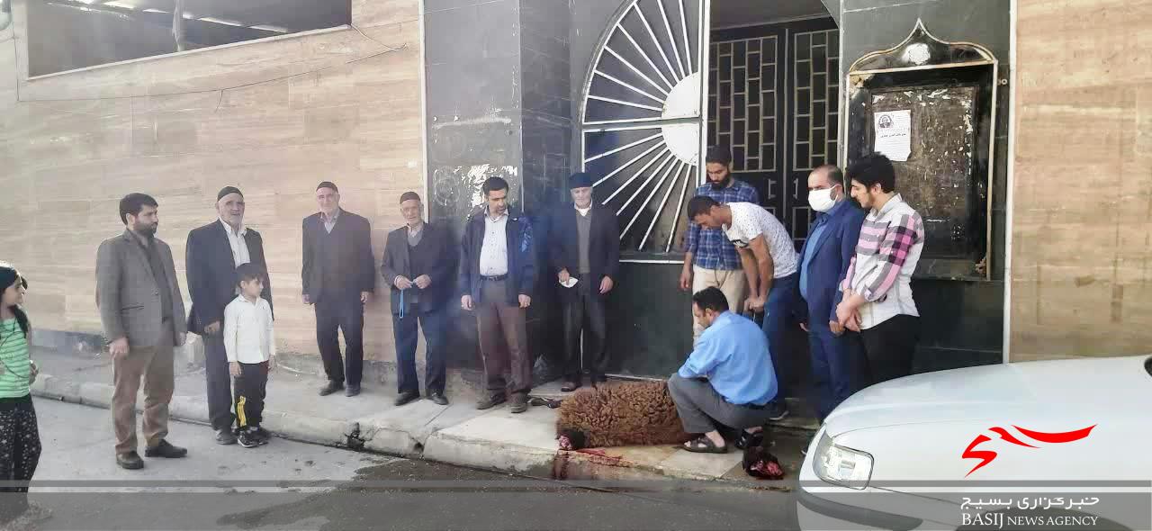 طرح &laquo;ذبح قربانی&raquo; توسط بسیجیان پایگاه شهید بختیاری سپاه ناحیه ابهر اجرا &zwnj;شد