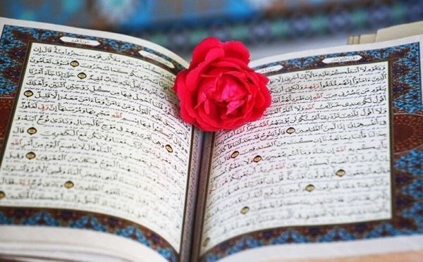 ترتیل صفحه ۵۴۰ قرآن کریم+فیلم و متن آیات ترتیل صفحه ۵۴۰ قرآن کریم+فیلم و متن آیات