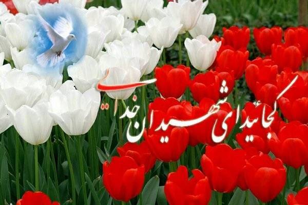 مصاحبه ای با مادرشهید جواد توسلینیا