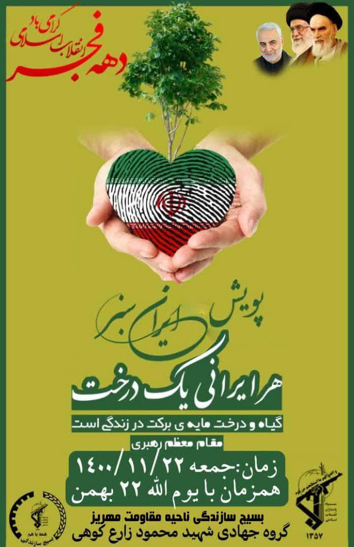 توزیع نهال زیتون در مهریز توزیع نهال زیتون در مهریز