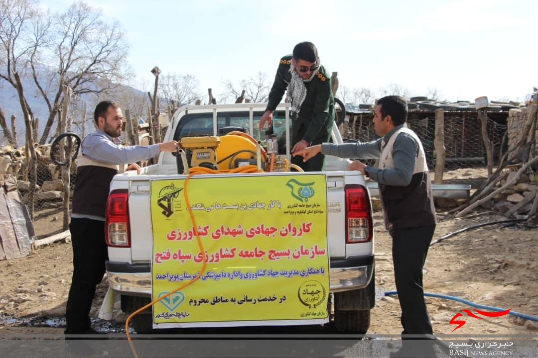 خدمات رسانی جهادی بسیج جامعه کشاورزی سپاه فتح در مناطق دور افتاده /۲۰۰۰ راَس دام در روستای نده واکسینه شدند