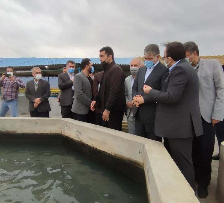 بازدید وزیر جهادکشاورزی از پروژه پرورش ماهیان خاویاری در شهرستان بندرگز بازدید وزیر جهادکشاورزی از پروژه پرورش ماهیان خاویاری در شهرستان بندرگز