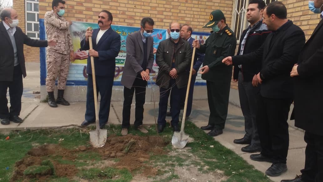 کاشت نهال به نام شهدا توسط بسیج ورزشکاران کاشت نهال به نام شهدا توسط بسیج ورزشکاران