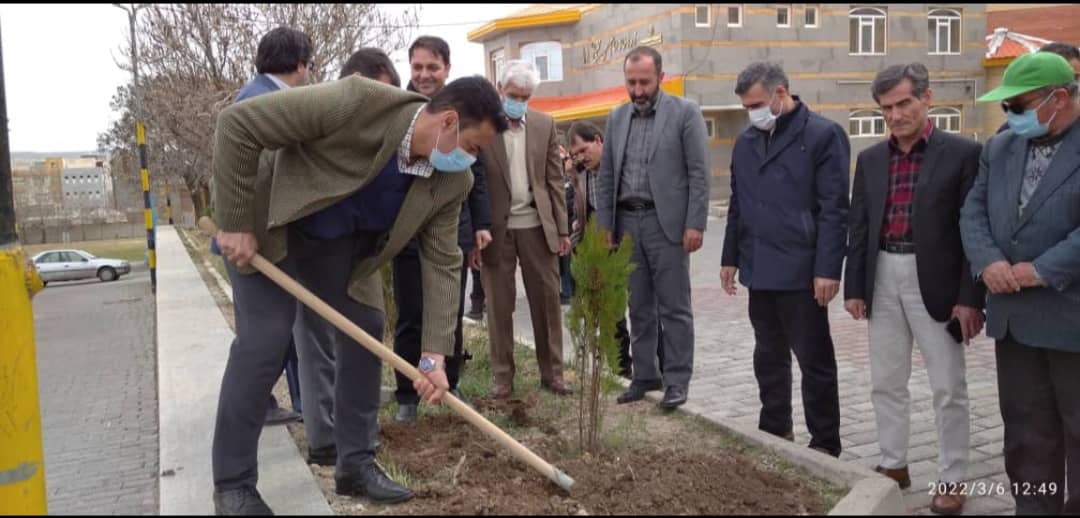 کاشت نهال به نام شهدا توسط بسیج ورزشکاران کاشت نهال به نام شهدا توسط بسیج ورزشکاران