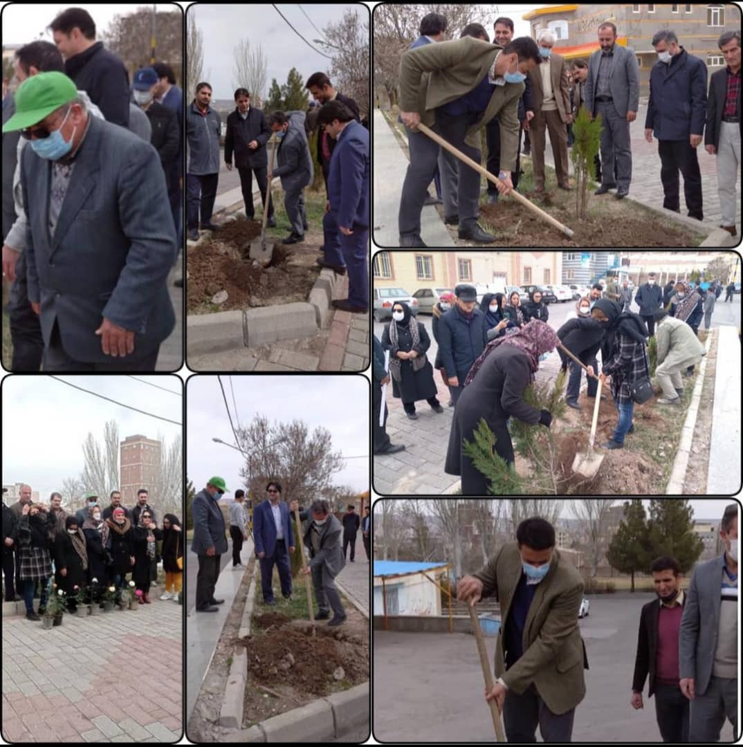 کاشت نهال به نام شهدا توسط بسیج ورزشکاران کاشت نهال به نام شهدا توسط بسیج ورزشکاران