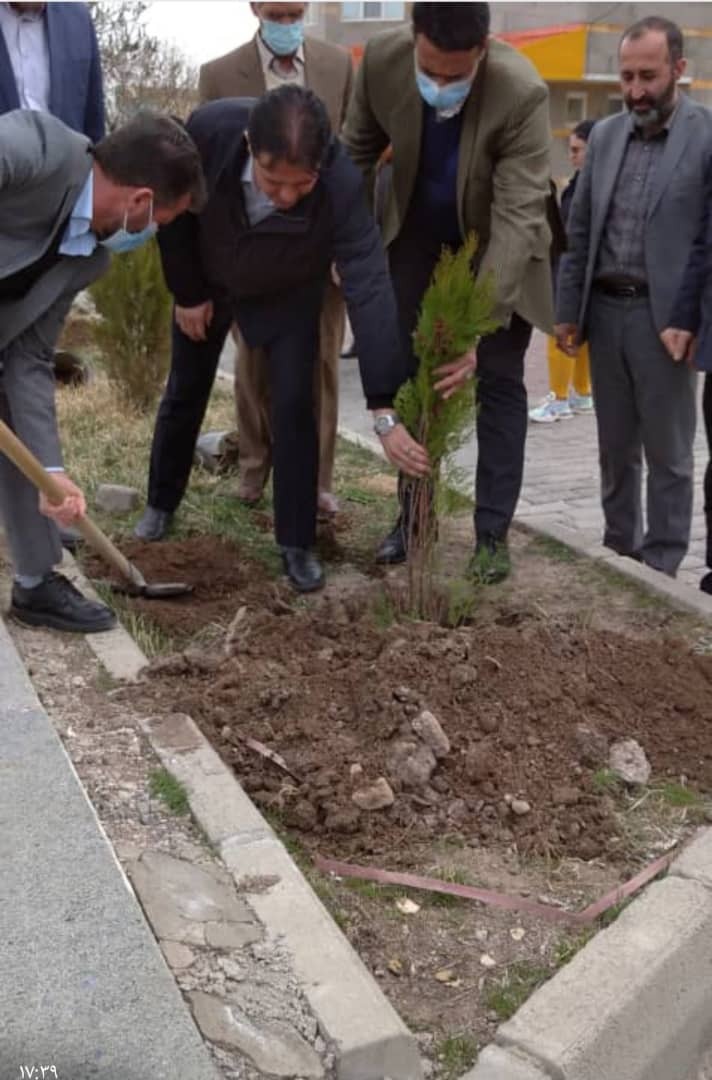 کاشت نهال به نام شهدا توسط بسیج ورزشکاران کاشت نهال به نام شهدا توسط بسیج ورزشکاران