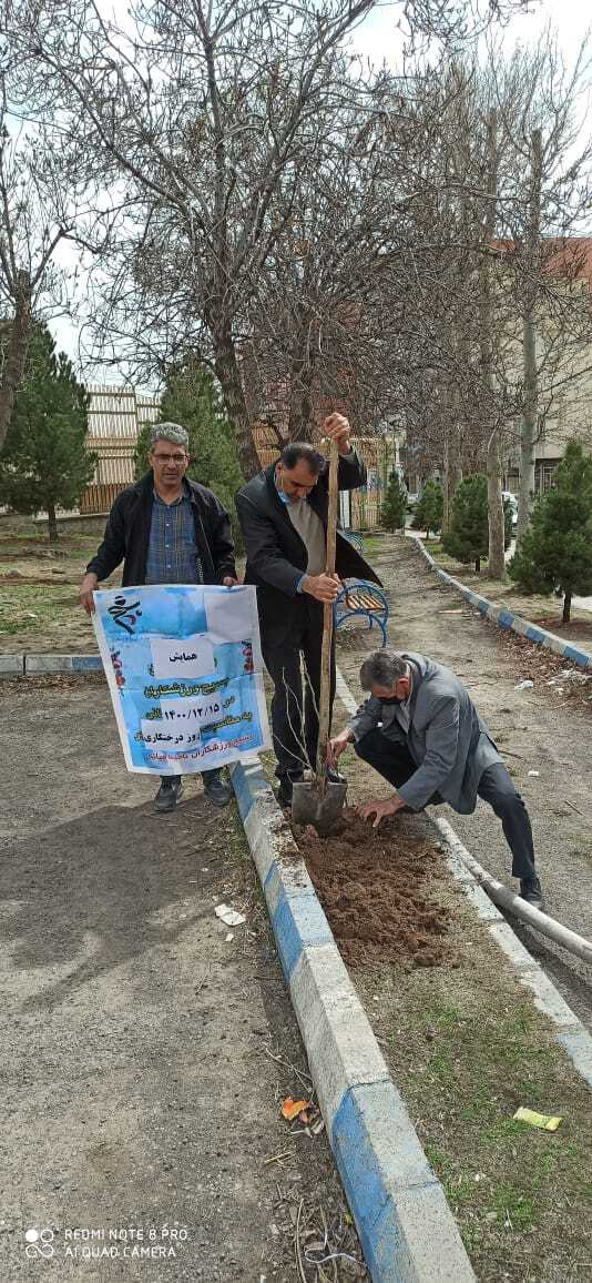 کاشت نهال به نام شهدا توسط بسیج ورزشکاران کاشت نهال به نام شهدا توسط بسیج ورزشکاران