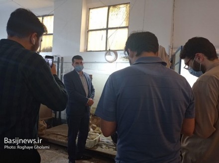 بسیج سازندگی با ایجاد اشتغال در واقع کار دولت را انجام می دهد
