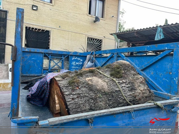 توقیف خودروی حامل ۳ تن چوب قاچاق در چالوس + تصاویر توقیف خودروی حامل ۳ تن چوب قاچاق در چالوس + تصاویر