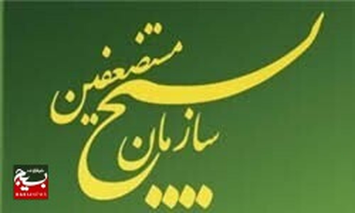 پیام قدردانی سازمان بسیج مستضعفین از مردم انقلابی ایران اسلامی بواسطه خلق حماسه در یوم‌الله ۲۲ بهمن