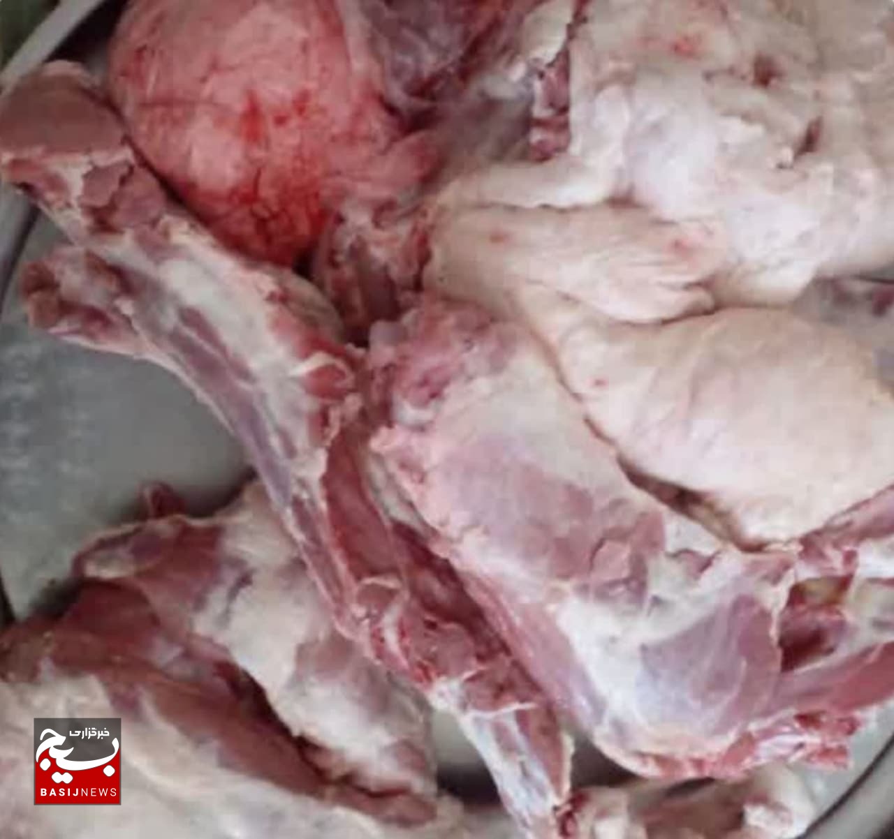 رسیدگی بسیجیان پایگاه مقاومت شهداء به خانوادههای نیازمند محله رسیدگی بسیجیان پایگاه مقاومت شهداء به خانوادههای نیازمند محله