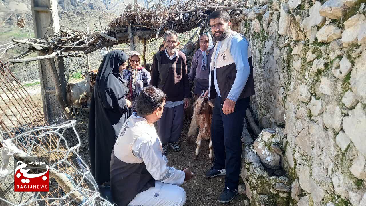 کانون بسیج جامعه کشاورزی شهرستان باشت همچنان پای کار / بیش از ۶ هزار راس دام سبک و سنگین در فتح و کوهسرک واکسینه شدند