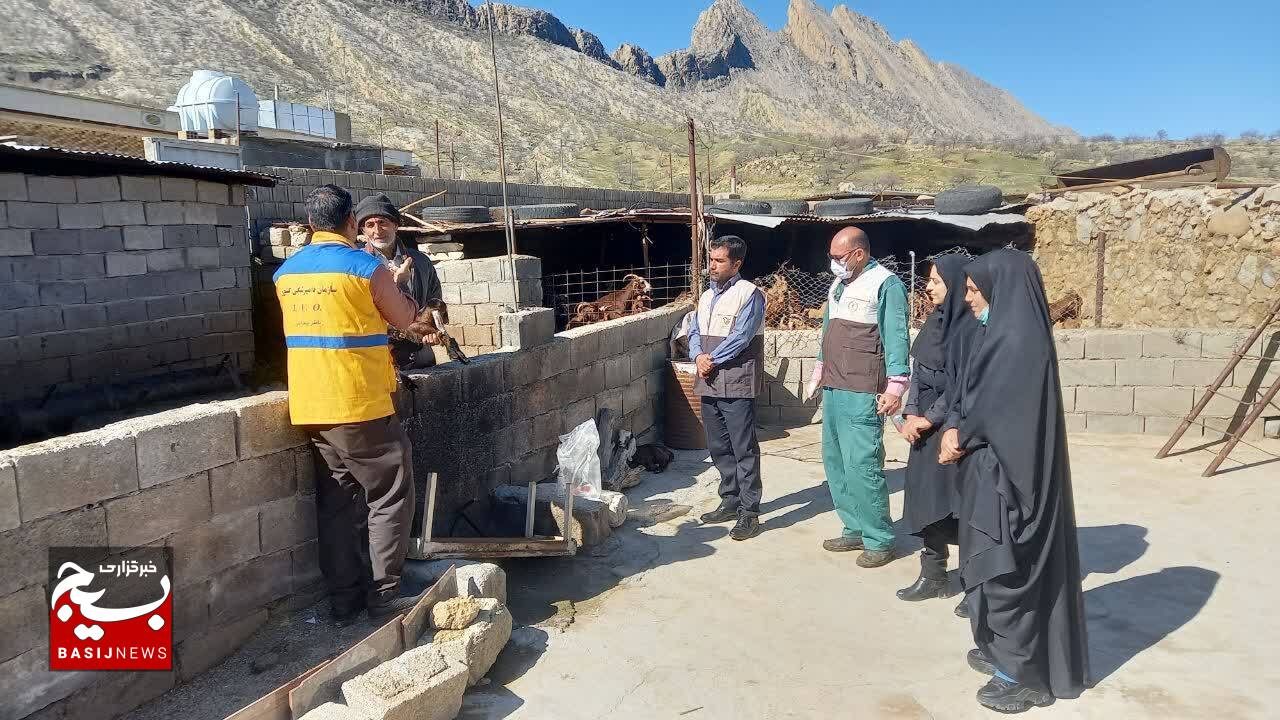 کانون بسیج جامعه کشاورزی شهرستان باشت همچنان پای کار / بیش از ۶ هزار راس دام سبک و سنگین در فتح و کوهسرک واکسینه شدند