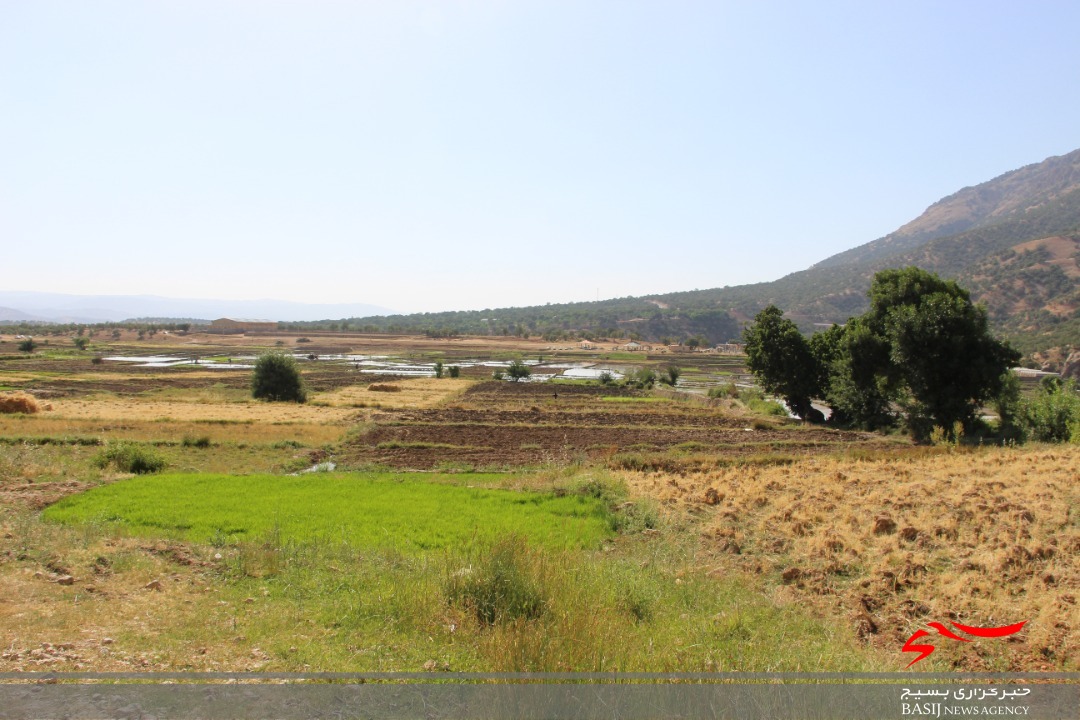 بررسی مشکلات کشاورزان روستاهای ده برآفتاب و گنجه ای سریز بررسی مشکلات کشاورزان روستاهای ده برآفتاب و گنجه ای سریز