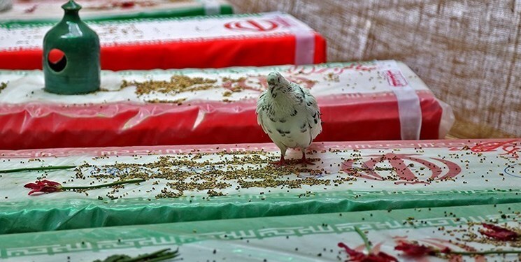دومین کنگره ۸۰۰۰ شهید گیلان برگزار میشود/برگزاری ۴ پیش کنگره در استان گیلان دومین کنگره ۸۰۰۰ شهید گیلان برگزار میشود/برگزاری ۴ پیش کنگره در استان گیلان