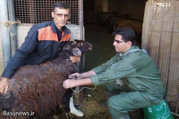 برگزاری اردوی جهادی دامپزشکی به مناسبت هفته دفاع مقدس در نهاوند برگزاری اردوی جهادی دامپزشکی به مناسبت هفته دفاع مقدس در نهاوند