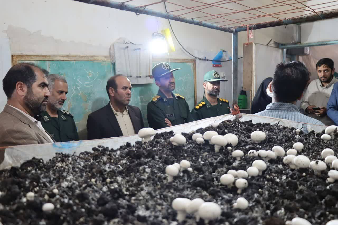 عزم جوان فرمهینی برای تحقق اقتصادمقاومتی/کشت قارچ در پارکینگ! عزم جوان فرمهینی برای تحقق اقتصادمقاومتی/کشت قارچ در پارکینگ!