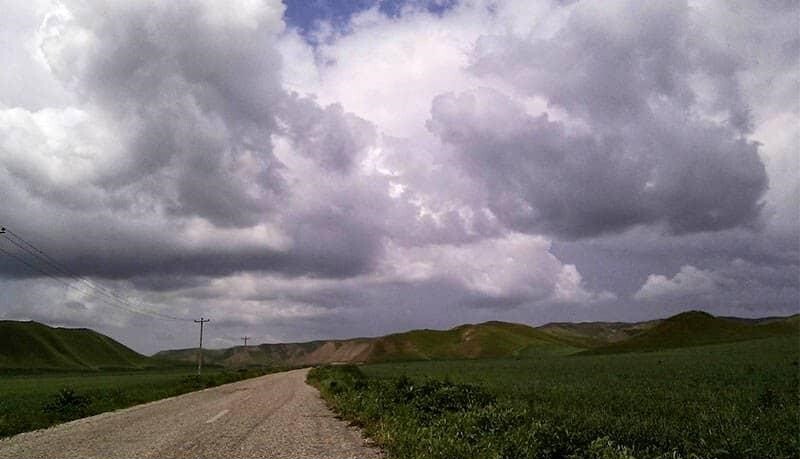 جنگل گلستان مکانی با تنوع گونه های مختلف گیاهی و جانوری جنگل گلستان مکانی با تنوع گونه های مختلف گیاهی و جانوری