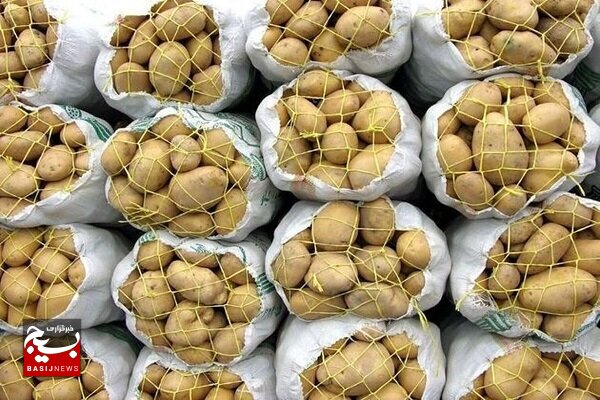 صادرات سیبزمینی به آذربایجان ضعیف است صادرات سیبزمینی به آذربایجان ضعیف است
