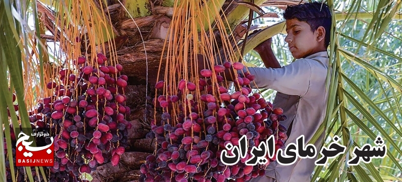 شهر خرمای ایران شهر خرمای ایران