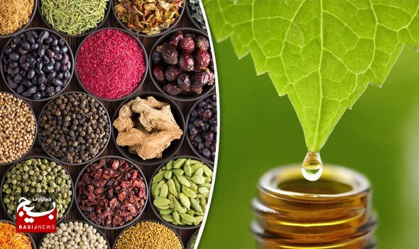 تولید ۲۶ مدل عرقیات گیاهی با همکاری مردم بومی در نوشهر تولید ۲۶ مدل عرقیات گیاهی با همکاری مردم بومی در نوشهر