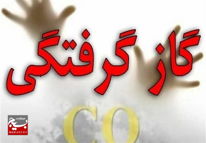 مسمومیت یک نفر با گاز مونوکسید کربن در اردبیل مسمومیت یک نفر با گاز مونوکسید کربن در اردبیل