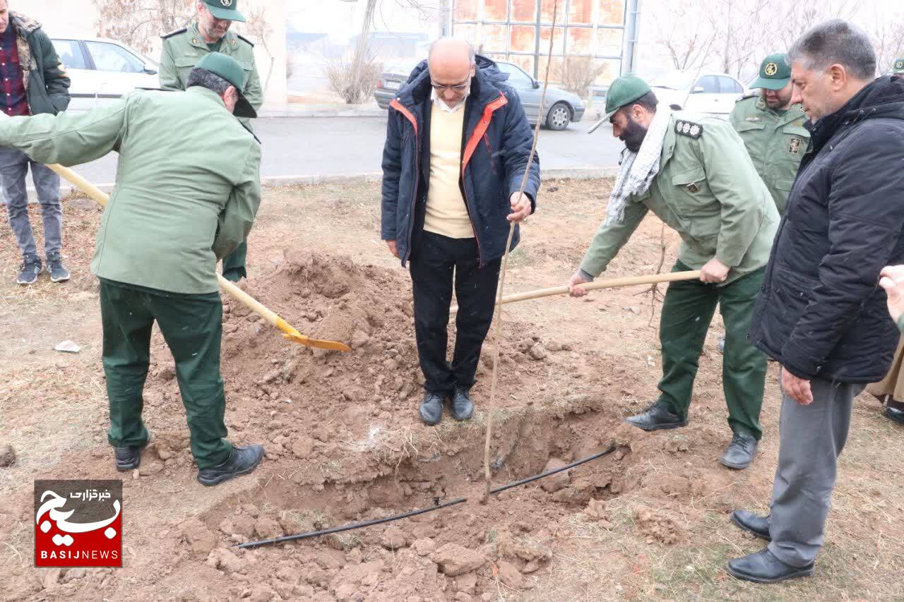 غرس ۱۸۰ هزار نهال در سال جاری به همت سپاه و بسیج در زنجان+تصاویر غرس ۱۸۰ هزار نهال در سال جاری به همت سپاه و بسیج در زنجان+تصاویر