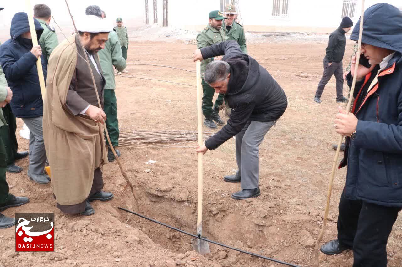 غرس ۱۸۰ هزار نهال در سال جاری به همت سپاه و بسیج در زنجان+تصاویر غرس ۱۸۰ هزار نهال در سال جاری به همت سپاه و بسیج در زنجان+تصاویر