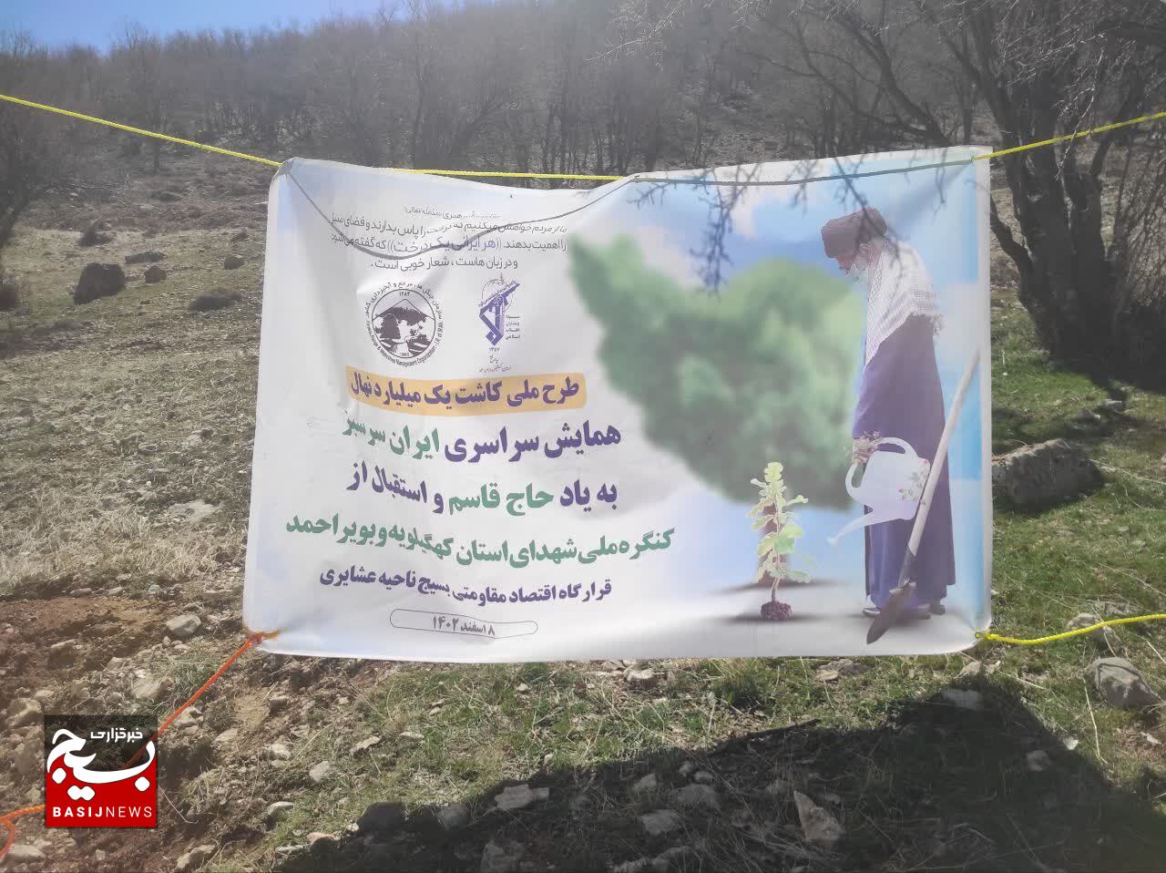 دو هزار اصله درخت در مناطق عشایری کهگیلویه و بویراحمد غرس می‌شود