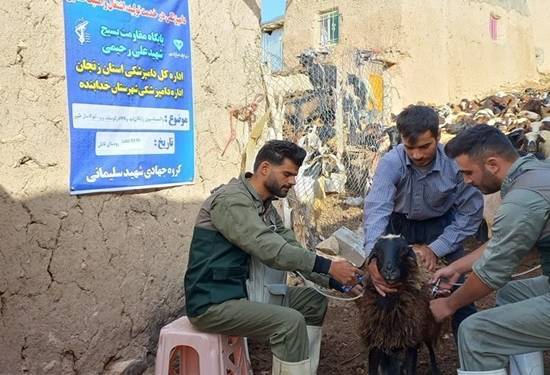 برگزاری اردوی جهادی دامپزشکی به مناسبت سالروز آزادسازی خرمشهر در شهرستان خدابنده برگزاری اردوی جهادی دامپزشکی به مناسبت سالروز آزادسازی خرمشهر در شهرستان خدابنده