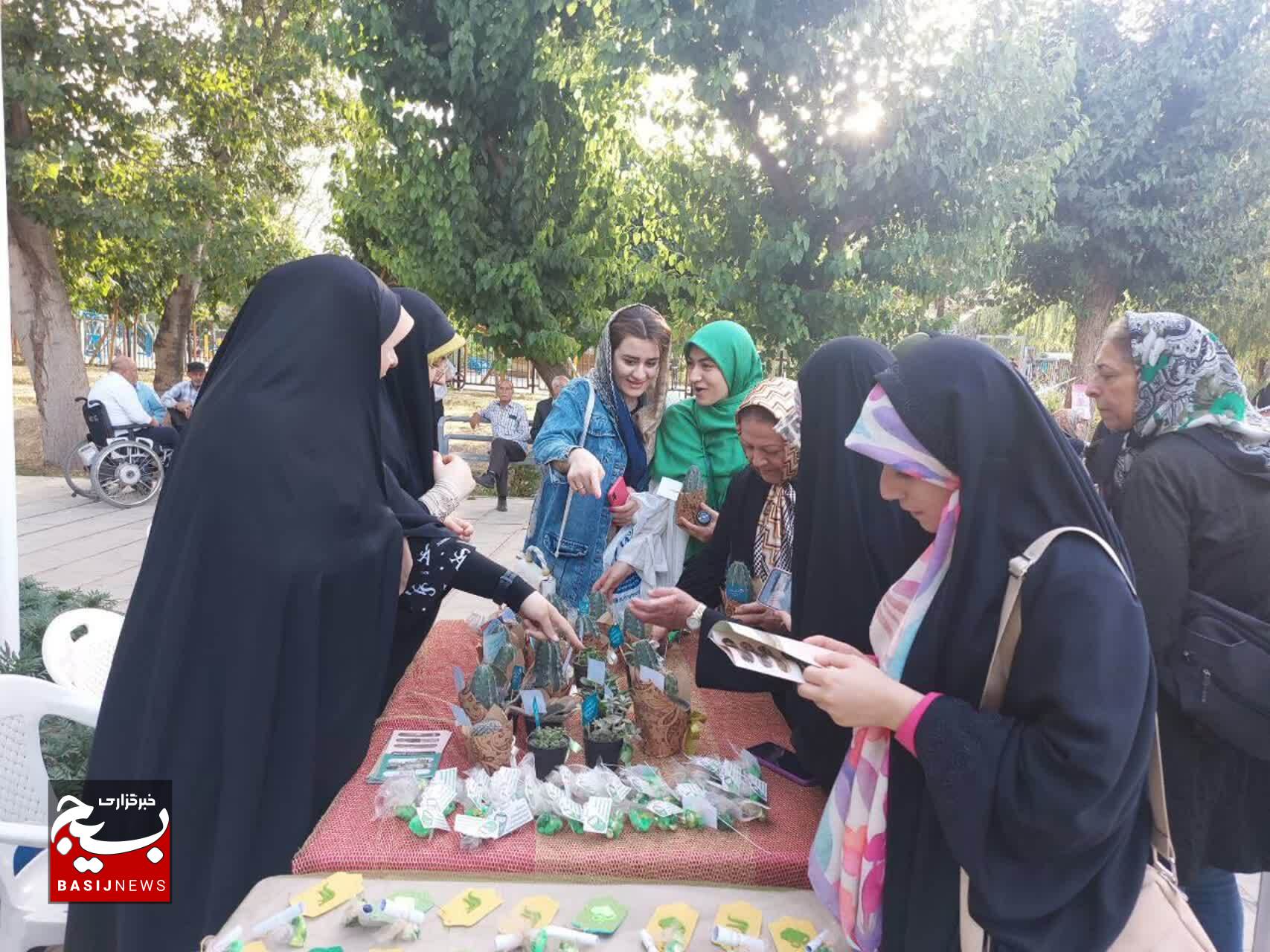 گزارش تصویری/ گزارش تصویری/