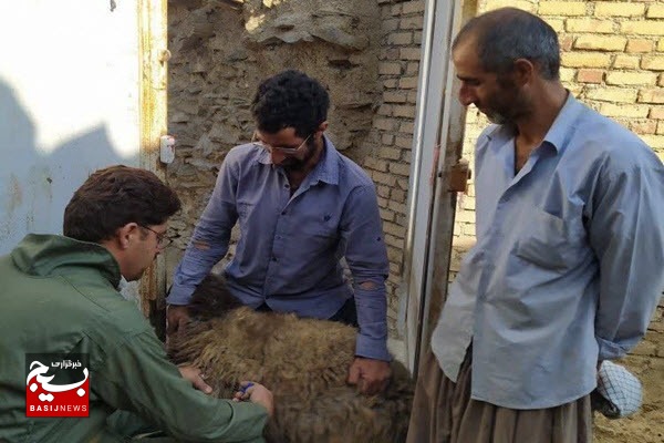 برگزاری اردوی جهادی دامپزشکی به مناسبت هفته دفاع مقدس در نهاوند برگزاری اردوی جهادی دامپزشکی به مناسبت هفته دفاع مقدس در نهاوند