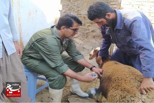 برگزاری اردوی جهادی دامپزشکی به مناسبت هفته دفاع مقدس در نهاوند برگزاری اردوی جهادی دامپزشکی به مناسبت هفته دفاع مقدس در نهاوند