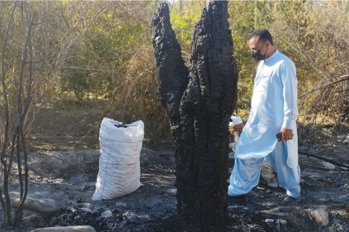 خسارت ۳۷ میلیارد ریالی آتش سوزی به  نخلستان ناهوک شهرستان سراوان