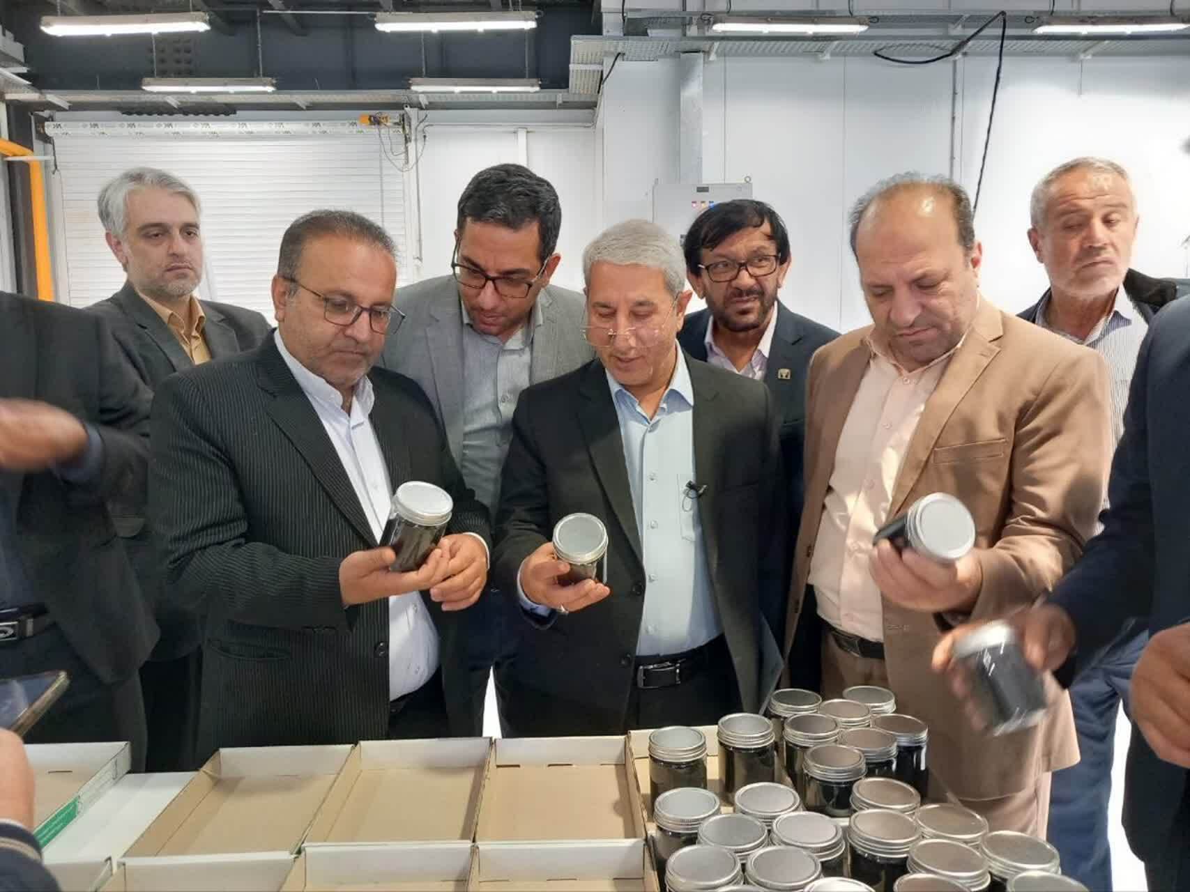 اکسیر سبز در گچساران افتتاح شد/ «داروییکارها» دغدغه تولید ندارند اکسیر سبز در گچساران افتتاح شد/ «داروییکارها» دغدغه تولید ندارند