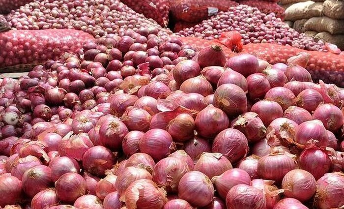 برداشت بیش از ۲۹ هزار پیاز از زمین‌های کشاورزی شهرستان شاهرود