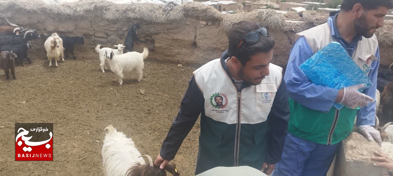 الگو باشیم الگو باشیم