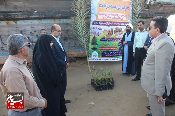 کاشت درخت حرا در سواحل دلوار کاشت درخت حرا در سواحل دلوار