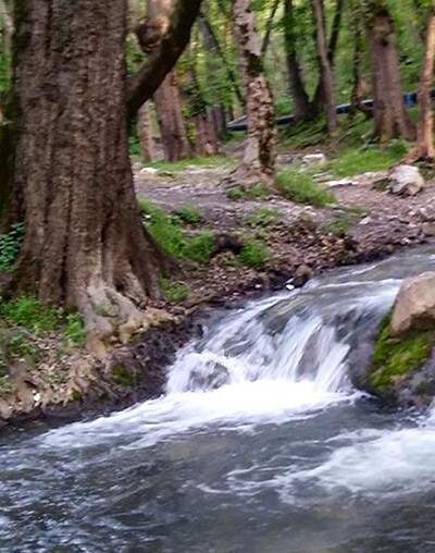 چشمه ای خروشان در دل روستایی در گلستان چشمه ای خروشان در دل روستایی در گلستان