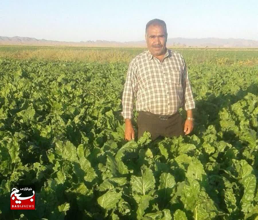 رشد ۱۰ درصدی تولید چغندر قند در نصرآباد رشد ۱۰ درصدی تولید چغندر قند در نصرآباد